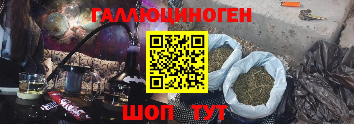 Галлюциногенные грибы Psilocybine cubensis Кирово-Чепецк